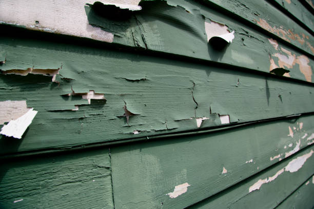 Siding for Multi-Family Homes in Waterloo, IN