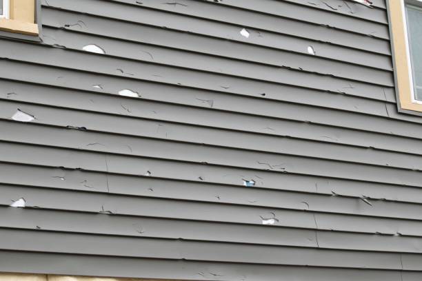 Best Siding for Multi-Family Homes  in Waterloo, IN