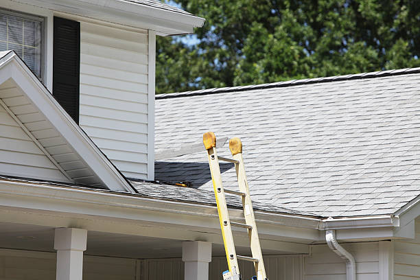 Best Stucco Siding  in Waterloo, IN